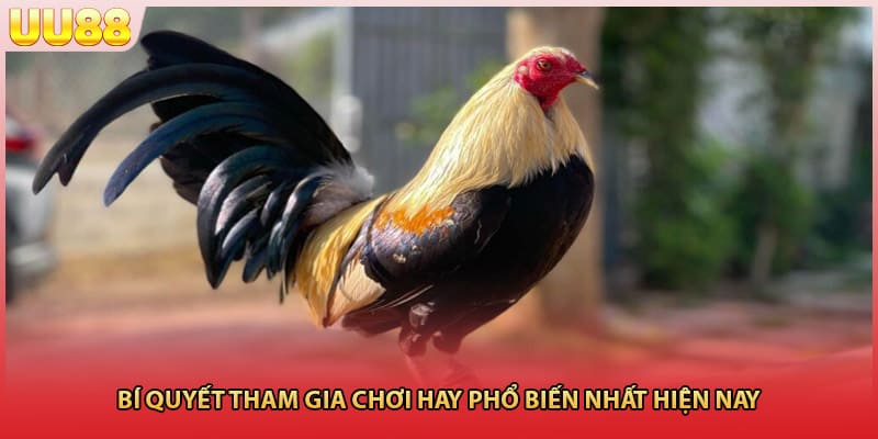 Bí quyết tham gia chơi hay phổ biến nhất hiện nay