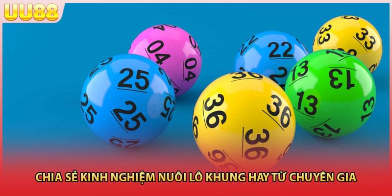 Chia sẻ kinh nghiệm nuôi lô khung hay từ chuyên gia
